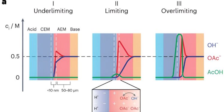 The model describes how ionic blockades influence energy harvesting in forward-biased bipolar membranes