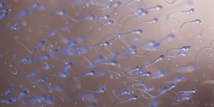 There is a sperm microbiota and it could impact fertility