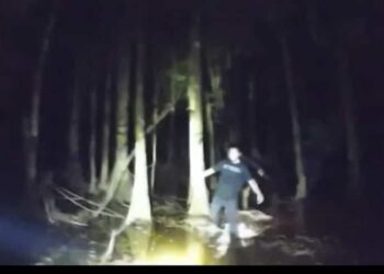They remain stuck for several hours in a swamp full of alligators