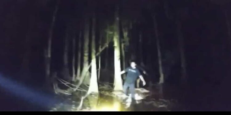 They remain stuck for several hours in a swamp full of alligators