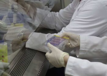 This protein promotes the spread of 75% of cancers: we may have found a way to stop it