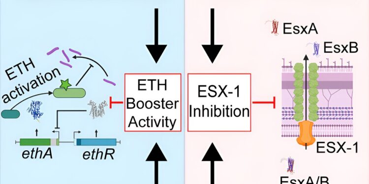 Treating tuberculosis when antibiotics no longer work