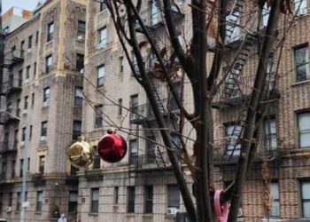 Trees invade sidewalks in New York