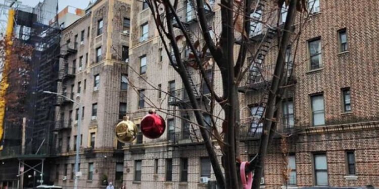 Trees invade sidewalks in New York