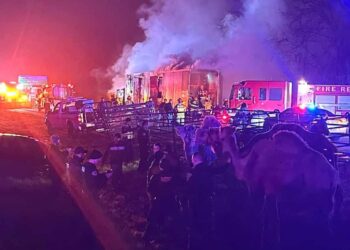 United States: circus animals rescued from burning trailer