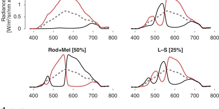 Using fMRI, new vision study uncovers promising model for restoring cone function