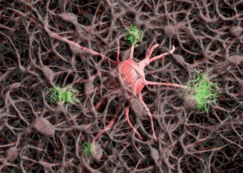 Variants of the synaptic scaffolding protein PPFIA3 discovered cause a new syndromic neurodevelopmental disorder
