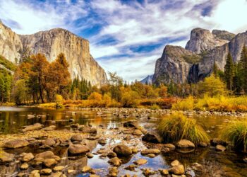 White House rule significantly deregulates wetlands, streams and drinking water, machine learning study finds