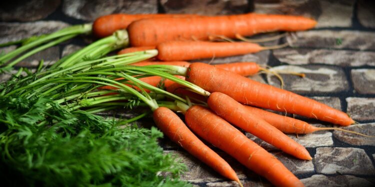 Why do carrots curl?  Research reveals mechanisms behind aging of root vegetables