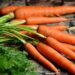 Why do carrots curl?  Research reveals mechanisms behind aging of root vegetables