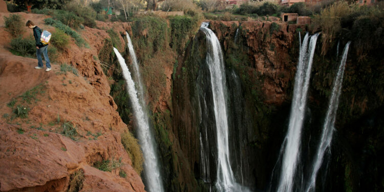 Will 2024 be the year of full recovery for global tourism?