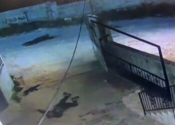 With direct bullets to the head…the occupation kills 3 Palestinians in Tulkarm