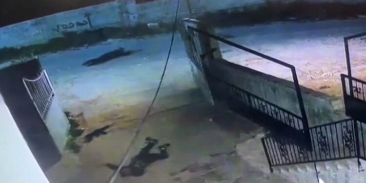 With direct bullets to the head…the occupation kills 3 Palestinians in Tulkarm