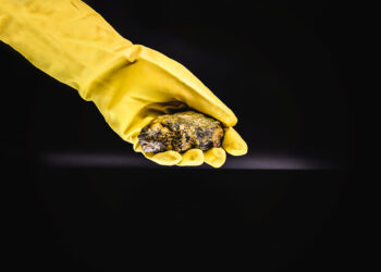 3 countries have half the reserves.. What do you know about the largest uranium producers in the world?