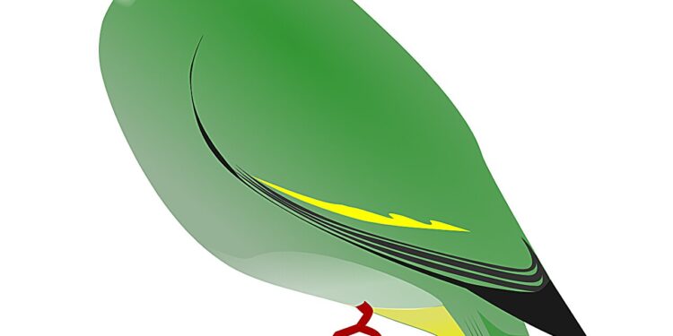 A Filipino fruit dove reveals its secrets