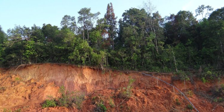 A common mineral in red soils tends to retain trace metals over time, according to a study.