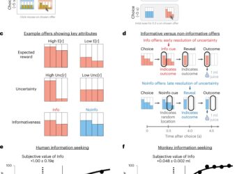 A key regulator of decision-making identified in the brain