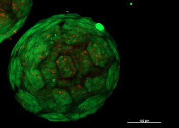 A new approach to producing artificial cartilage using 3D printing