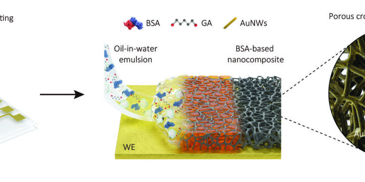 A new micrometer-thick porous coating with unrivaled biomarker detection capabilities