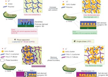 A novel high-concentration solid polymer electrolyte for high-voltage lithium-metal batteries