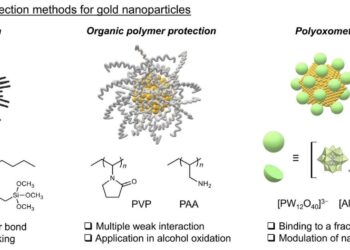 A protective layer applied to gold nanoparticles can strengthen their resilience