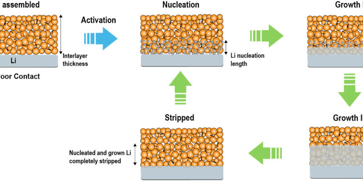 A strategy for designing a lithium anode interlayer for all-solid-state lithium-metal batteries