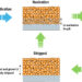 A strategy for designing a lithium anode interlayer for all-solid-state lithium-metal batteries