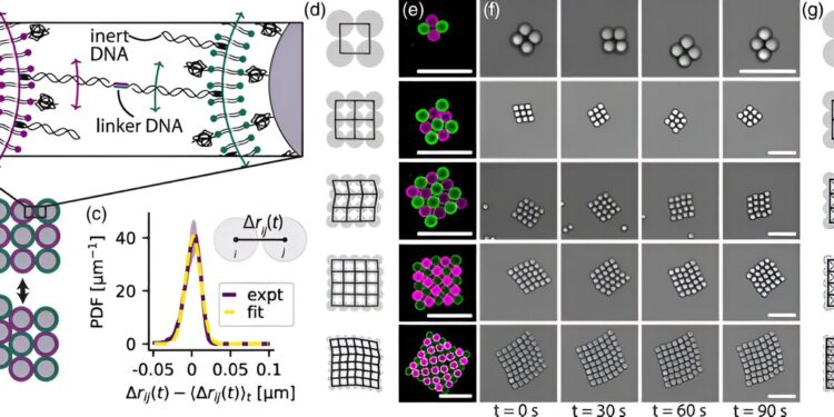 A tiny network of microparticles that is both strong and flexible