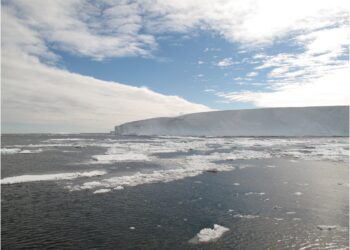 Adaptability of vitamin B12 in Antarctic algae has implications for climate change and life in the Southern Ocean