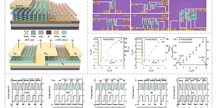 An architecture for sub-picowatt logic computing based on self-biased molybdenum disulfide transistors