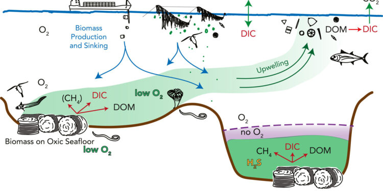 Anoxic marine basins are among the best candidates for deep-sea carbon sequestration, scientists say