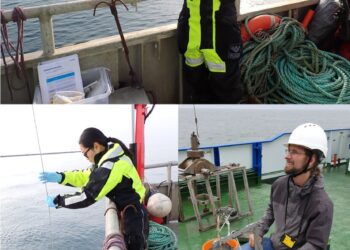 Arctic seafloor bacteria are active all year round, researchers say