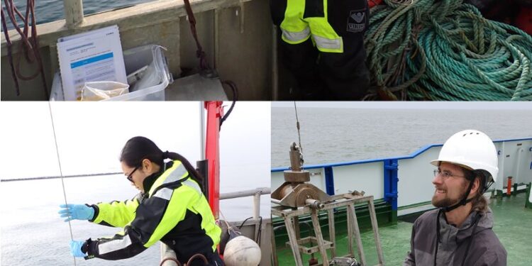 Arctic seafloor bacteria are active all year round, researchers say