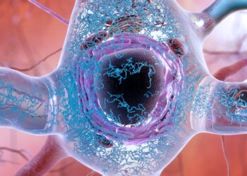 Are stressed brain cells the cause of neurodegenerative diseases?