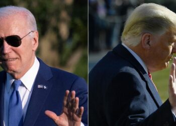 Biden against Trump: what if the duel did not take place?
