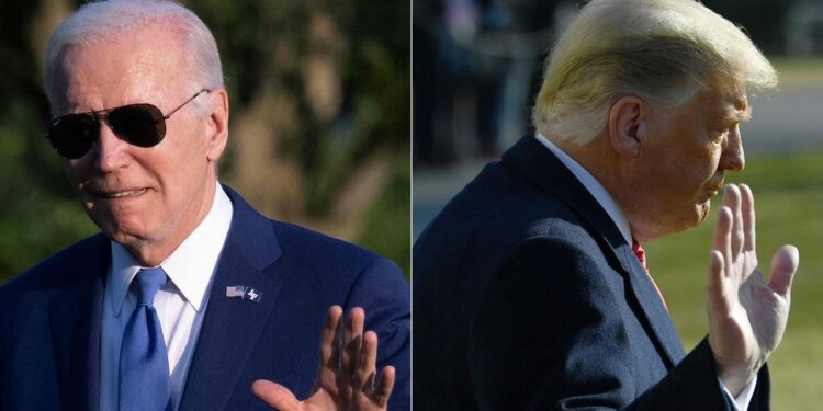 Biden against Trump: what if the duel did not take place?