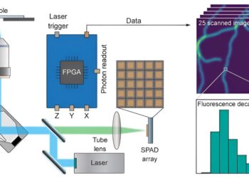 Building images photon by photon to increase the information content provided by microscopes