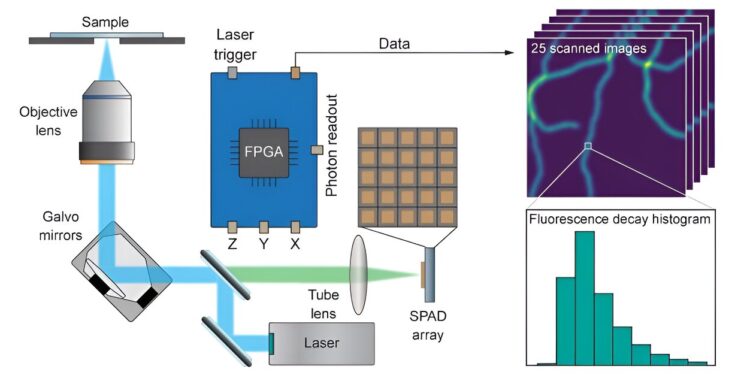 Building images photon by photon to increase the information content provided by microscopes