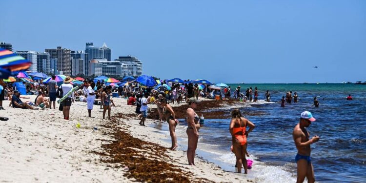 Buried alive on a beach: a little girl loses her life while playing with her brother