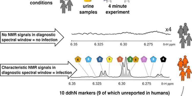 COVID-19 Researchers Discover Hidden Pathway of Natural Immune Defense
