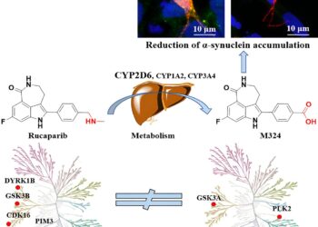 Cancer drug opens new avenue for treating Parkinson’s disease