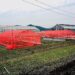 Changing the color of commonly used agricultural netting reduces insect damage in Kujo leek fields