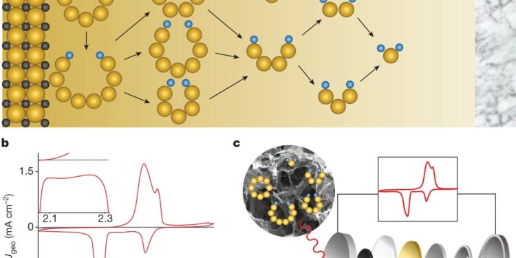 Chemists decipher a reaction process that could improve lithium-sulfur batteries