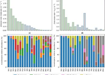 Cleaning products urgently need better regulation, researchers warn
