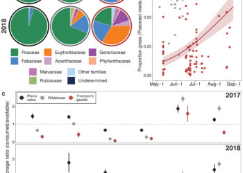 Competition for food drives mass migration of herbivores across the planet