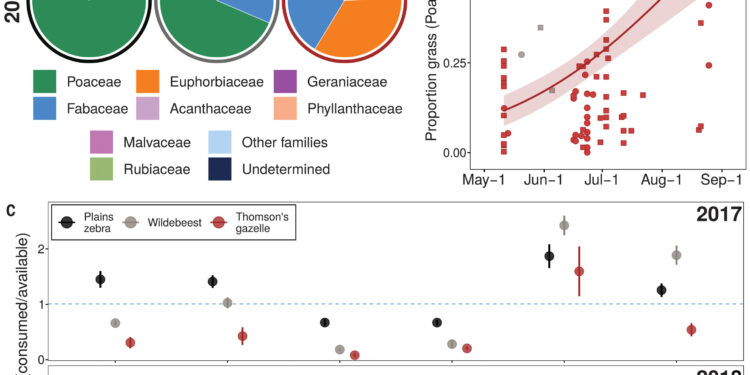 Competition for food drives mass migration of herbivores across the planet