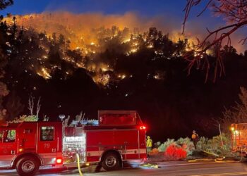 Deadly “gender reveal”: two parents plead guilty to causing forest fire