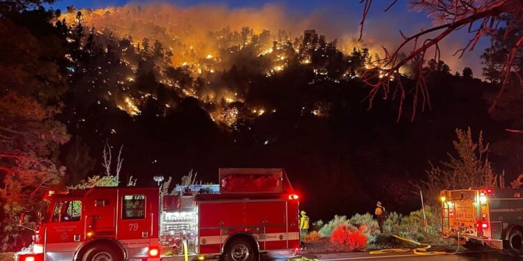 Deadly “gender reveal”: two parents plead guilty to causing forest fire