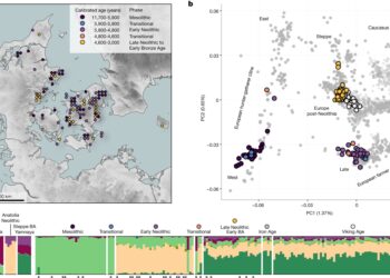 Early Scandinavian farmers massacred hunter-gatherer population, DNA analysis shows