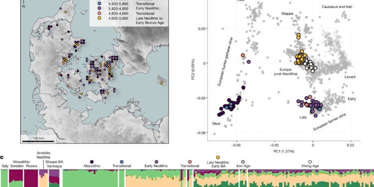 Early Scandinavian farmers massacred hunter-gatherer population, DNA analysis shows